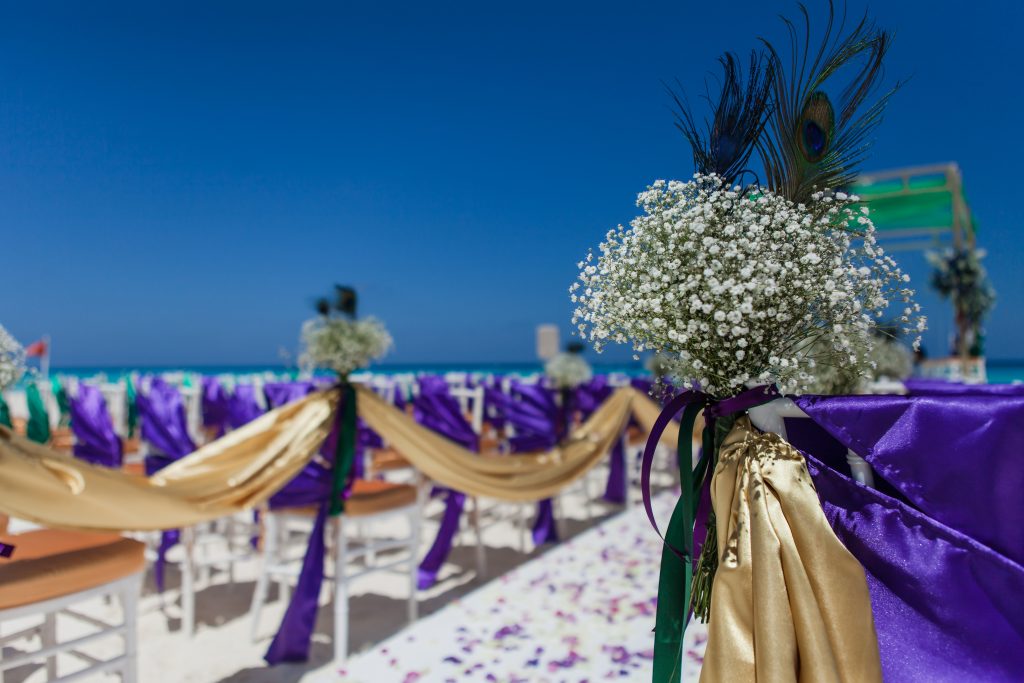 81bodas31 1735930090