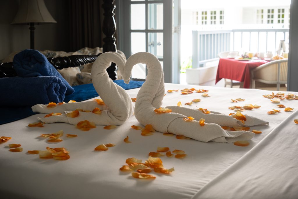 Bedroom Interior Savannah Swans