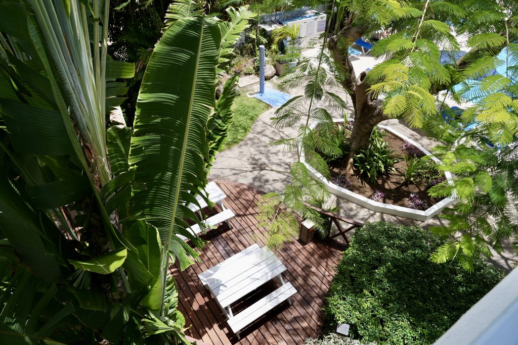 Birds Eye Image