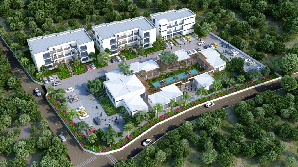 Birdview copy