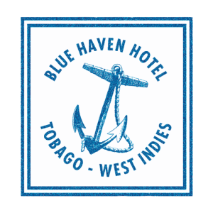 Blue Haven Logo2