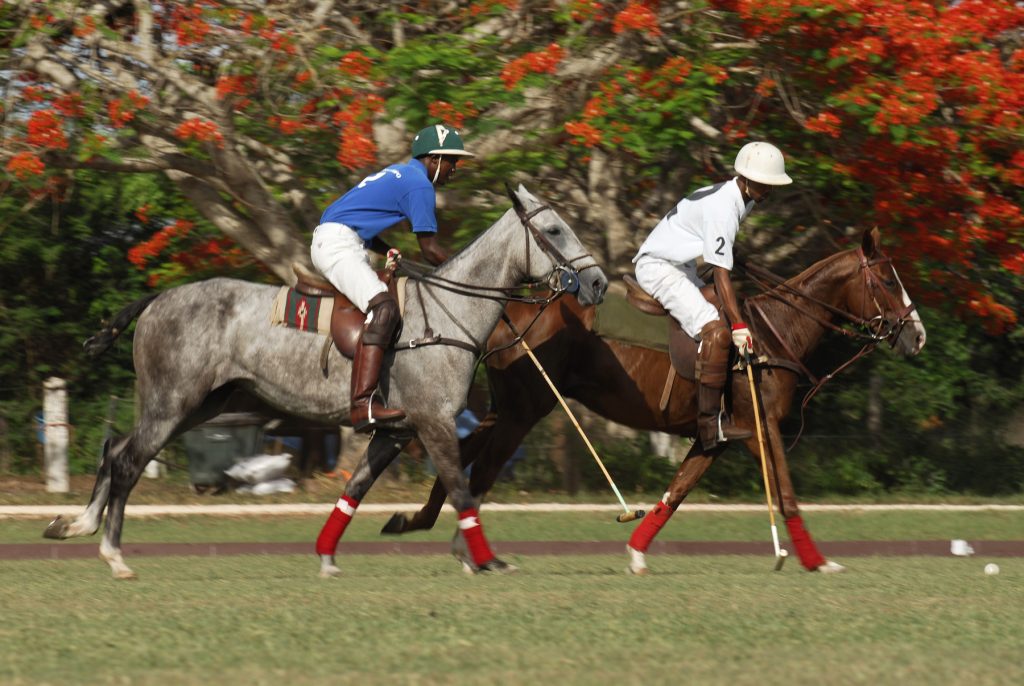 Flo-Sun, Casa de Campo