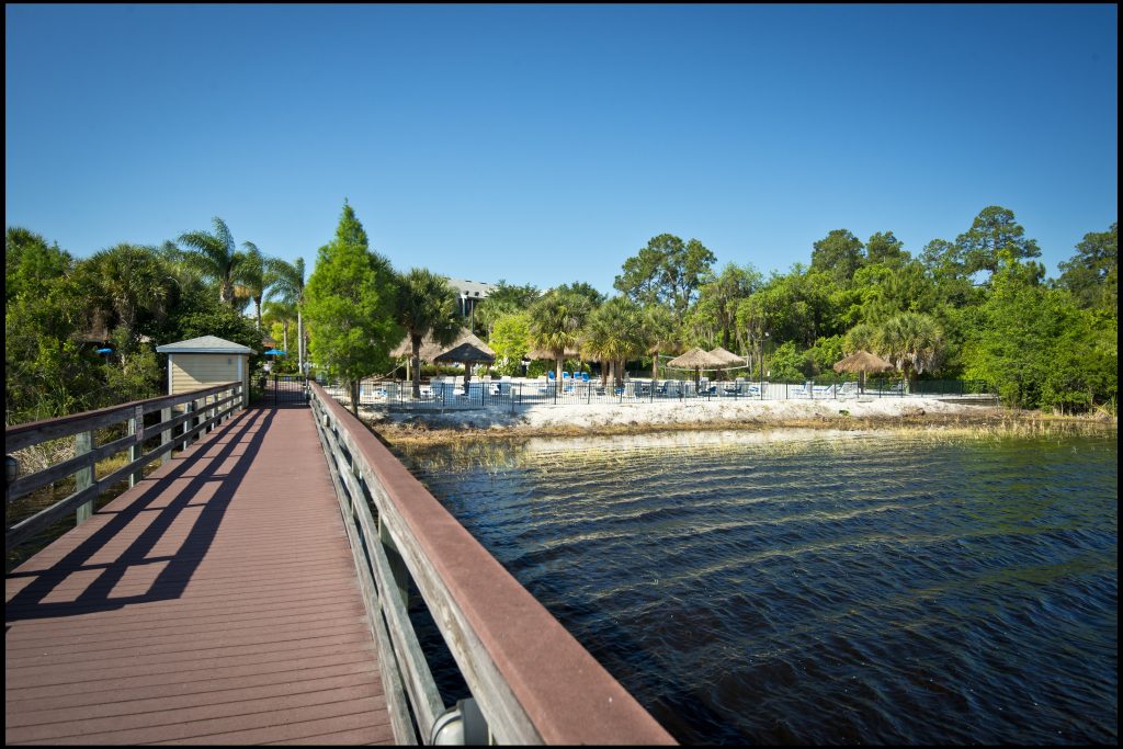 Dock