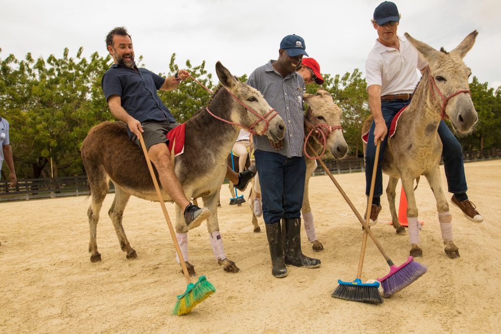 Donkey-Polo