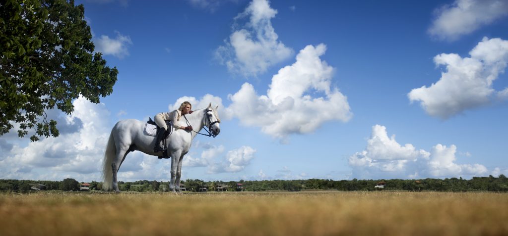 Equestrian2