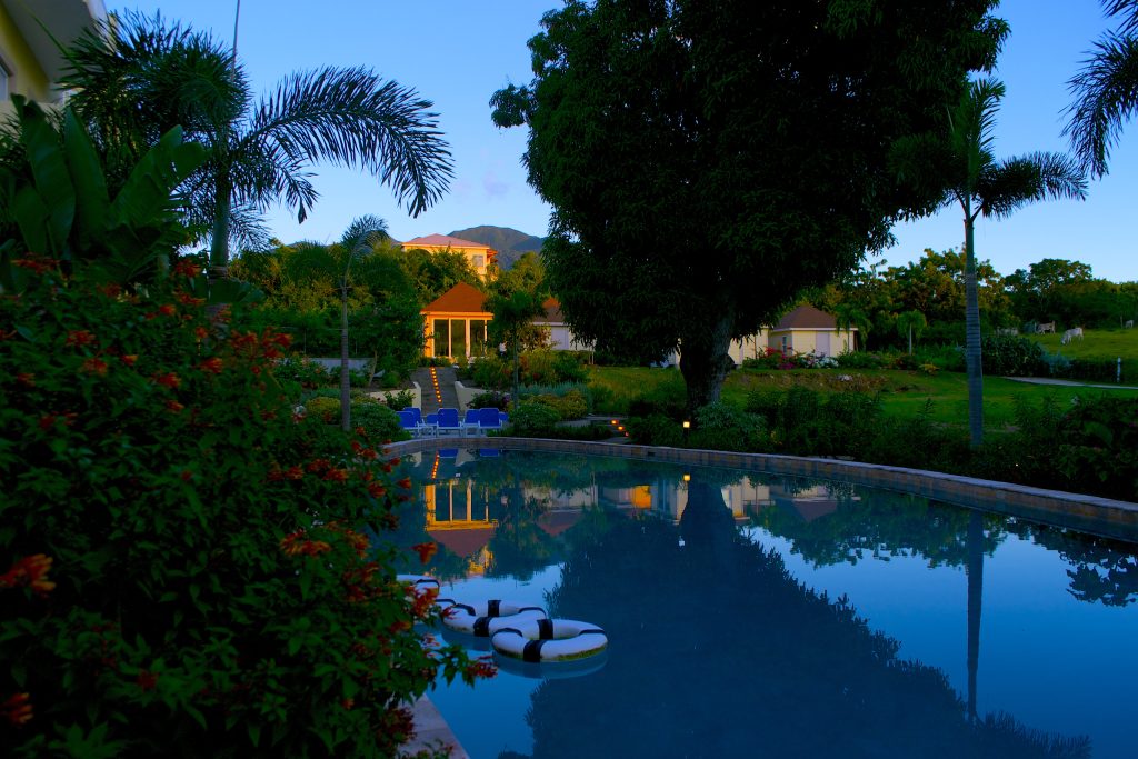 Hamiltons-long-pool-view-4