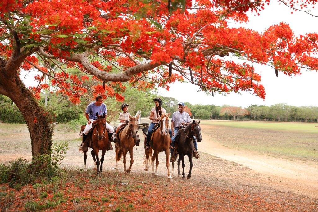 Horseback-Riding