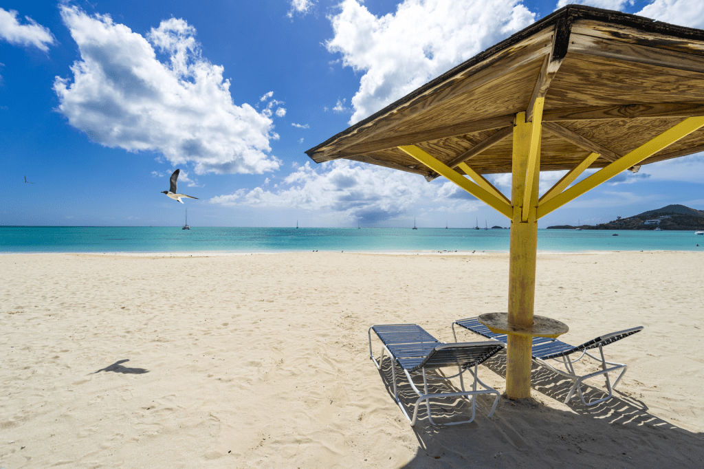 Jolly-Beach-2026-35