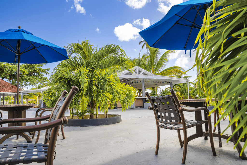 Jolly-Beach-2026-46