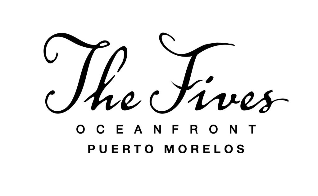 Logo TFO negro