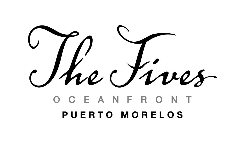 Logo TFO negro gris