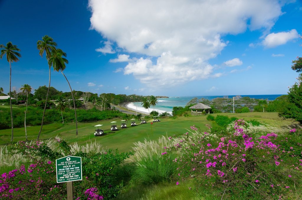 Mount Irvine Golf 031