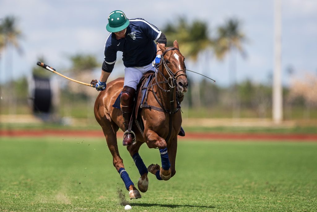 Sports-Polo-2