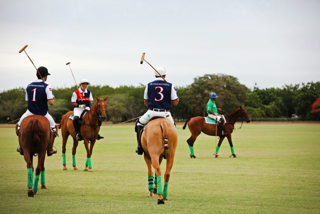 Sports-Polo-3