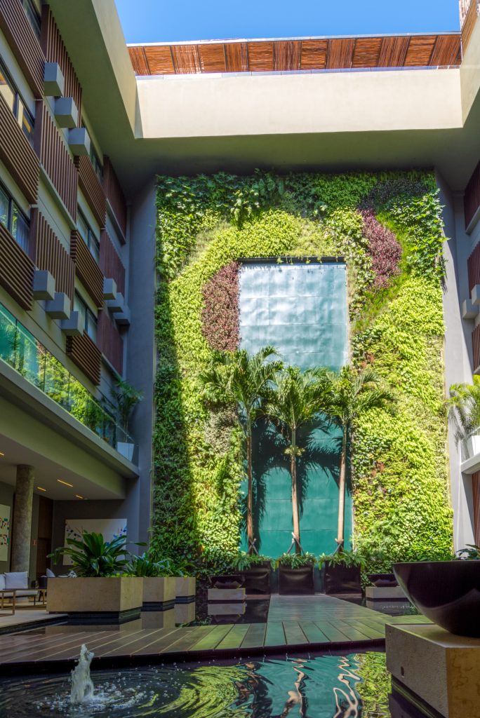 Vertical Garden 1 de 2
