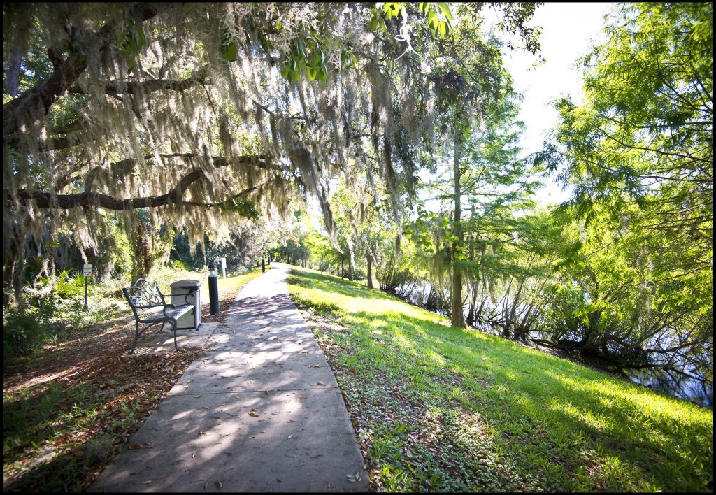 Walking Path