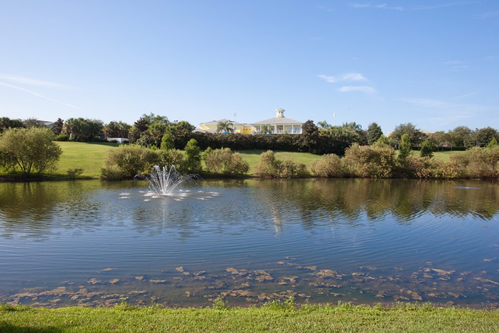 Water feature