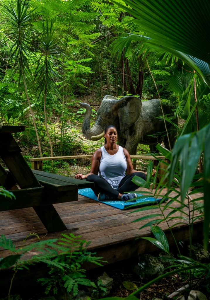 Wellness at SCC 2025 Image 1400 X 2000