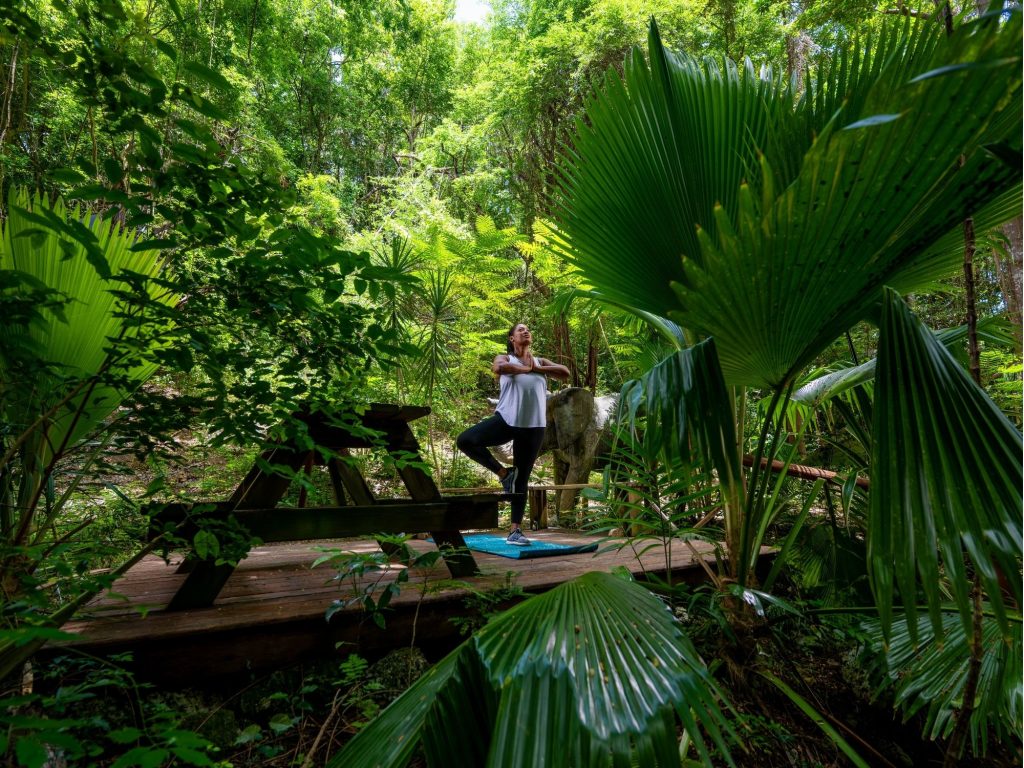 Wellness at SCC 2025 Image 2000 X 1500 4