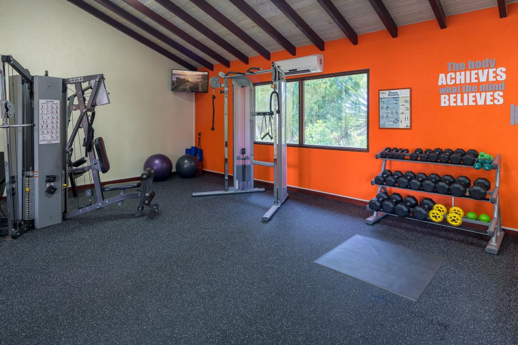 gym 3