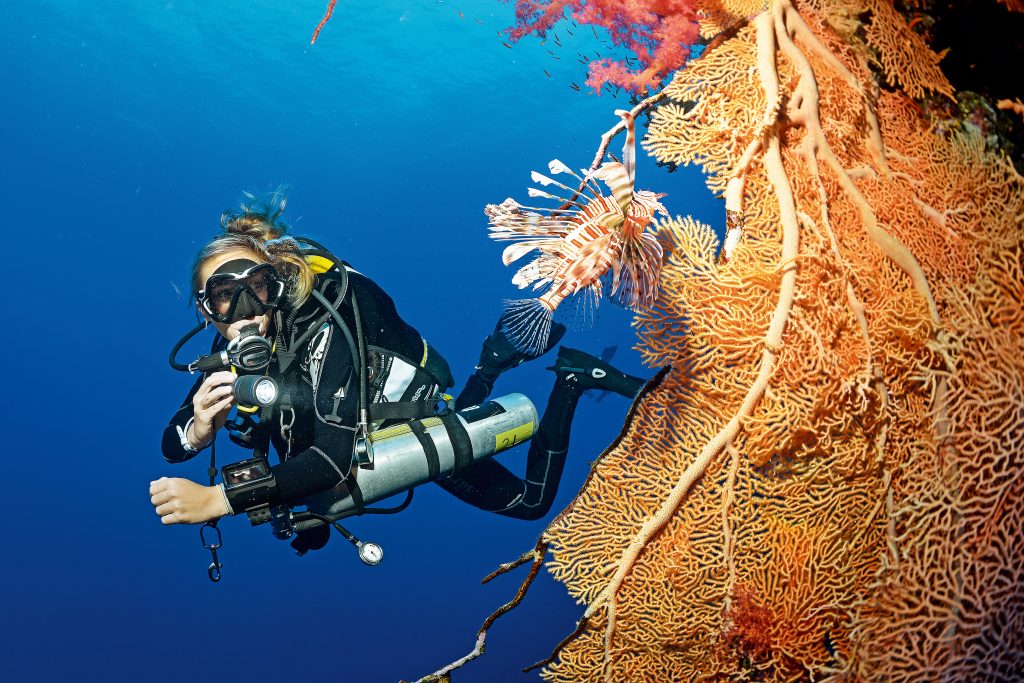 the fives dive center 3
