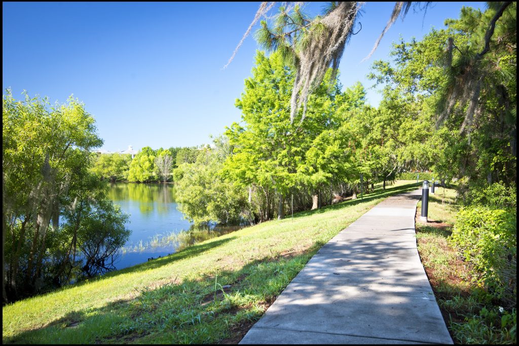 walking trail 2