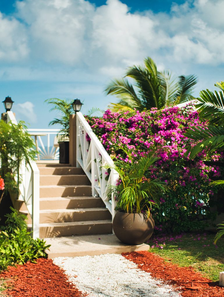 walkway-to-the-upperdeck