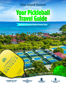 Pickleball Travel Guide Cover