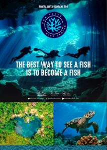 Dive At The Fives Manual Cover